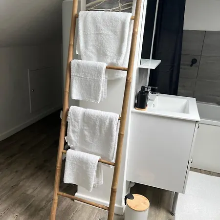 아파트호텔 Duplex Escaudain